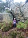 2012-10-11 10-41-05 Rando Fontainebleau- matin FGn